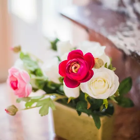 Etoile Ap1007 By Riviera Homes